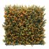 ΠΑΝΕΛ ΦΥΛΛΩΣΙΑΣ BERLIN 50 Χ 50 A012 BUXUS 