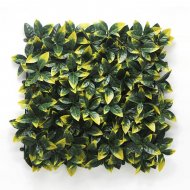 ΠΑΝΕΛ ΦΥΛΛΩΣΙΑΣ BERLIN 50 Χ 50 A017 PHOTINIA 