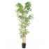 BAMBOO  NP5801_180_22_UV  ΥΨΟΣ 180cm 