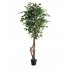 FICUS TREE NP5209_180  ΥΨΟΣ 180cm 