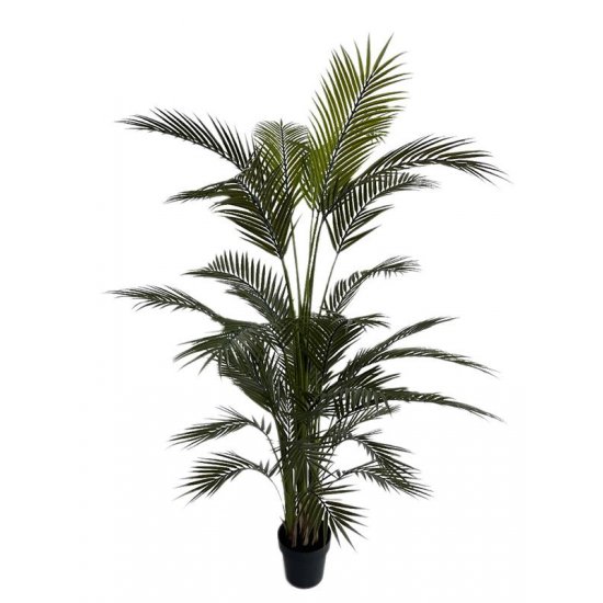 PALM TREE  NP160_210_UV  ΥΨΟΣ 210cm 