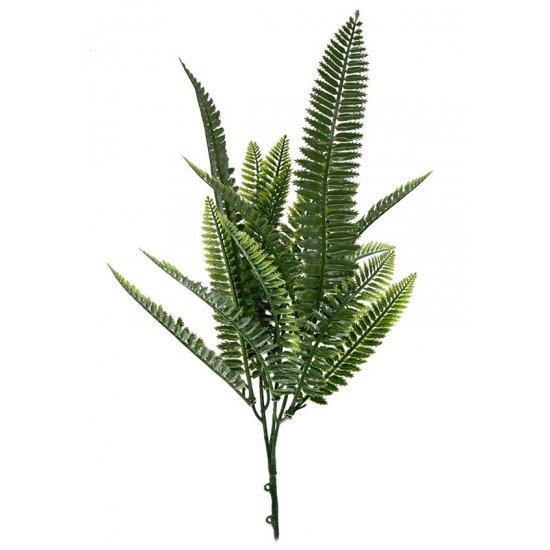 ΔΙΑΚΟΣΜΗΤΙΚΟ ΜΠΟΥΚΕΤΟ (SET 10ΤΜΧ) AMALFI W027 SPLEENWORT 
