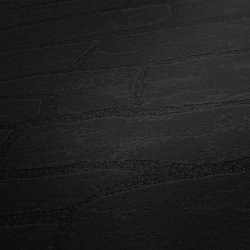 Ταπετσαρία τοίχου συλλογής Black is Beautiful 1005x53mm