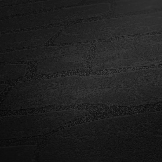 Ταπετσαρία τοίχου συλλογής Black is Beautiful 1005x53mm