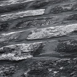 Ταπετσαρία τοίχου συλλογής Black is Beautiful 1005x53mm
