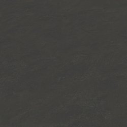Ταπετσαρία τοίχου συλλογής Black is Beautiful 1005x53mm