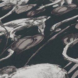 Ταπετσαρία τοίχου συλλογής Black is Beautiful 1005x53mm