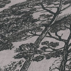 Ταπετσαρία τοίχου συλλογής Black is Beautiful 1005x53mm