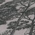 Ταπετσαρία τοίχου συλλογής Black is Beautiful 1005x53mm