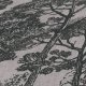 Ταπετσαρία τοίχου συλλογής Black is Beautiful 1005x53mm