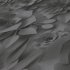 Ταπετσαρία τοίχου συλλογής Black is Beautiful 1005x53mm
