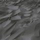 Ταπετσαρία τοίχου συλλογής Black is Beautiful 1005x53mm