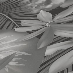 Ταπετσαρία τοίχου συλλογής Black is Beautiful 1005x53mm