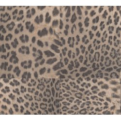 Ταπετσαρία τοίχου συλλογής Desert Lodge 1005x53mm