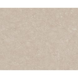 Ταπετσαρία τοίχου Industrial 1005x53cm