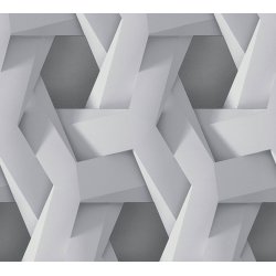 Ταπετσαρία τοίχου συλλογής Pintwalls 1005x53mm