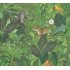 Ταπετσαρία τοίχου συλλογής Pintwalls 1005x53mm