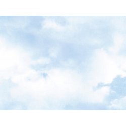 Ταπετσαρία τοίχου The Wall 371x280cm
