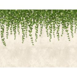 Ταπετσαρία τοίχου The Wall 371x280cm