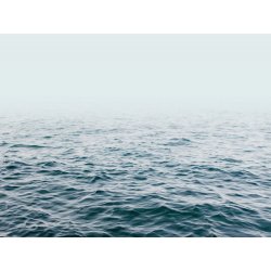 Ταπετσαρία τοίχου The Wall 371x280cm