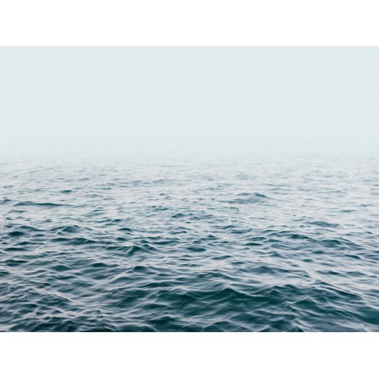 Ταπετσαρία τοίχου The Wall 371x280cm