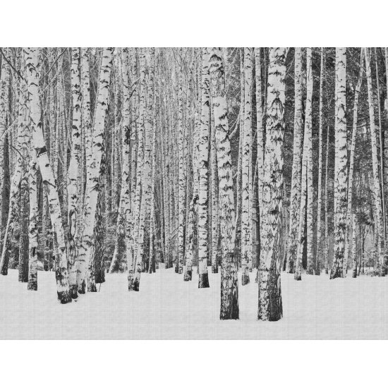 Ταπετσαρία τοίχου The Wall 371x280cm