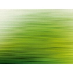 Ταπετσαρία τοίχου The Wall 371x280cm