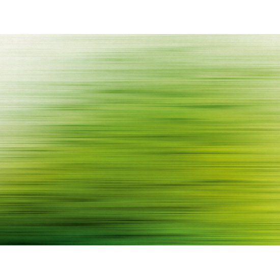 Ταπετσαρία τοίχου The Wall 371x280cm