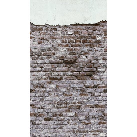 Ταπετσαρία τοίχου The Wall 159x280cm