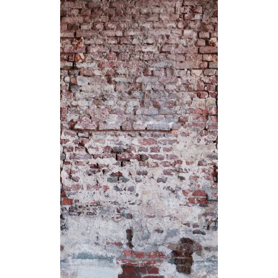 Ταπετσαρία τοίχου The Wall 159x280cm