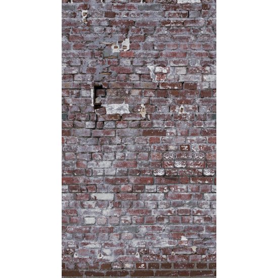 Ταπετσαρία τοίχου The Wall 159x280cm
