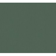 Ταπετσαρία τοίχου Trendwall II 1005x53cm
