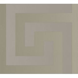 Ταπετσαρία τοίχου συλλογής Versace 5 1005x70mm