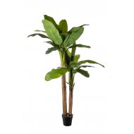 Τεχνητό Φυτό - Banana Tree 2m Real Touch
