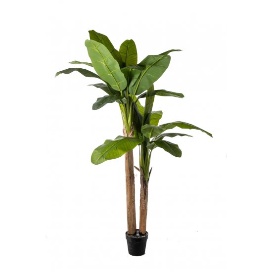 Τεχνητό Φυτό - Banana Tree 2m Real Touch Τεχνητό Φυτό - Banana Tree 2m Real Touch