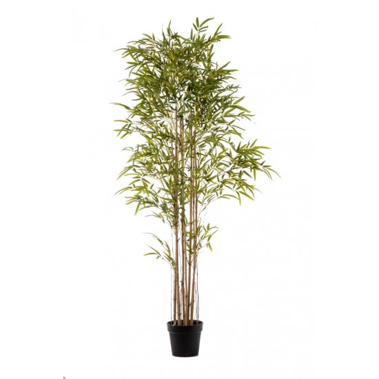 Τεχνητό φυτό Bamboo Real Touch 1,80m Τεχνητό φυτό Bamboo Real Touch 1,80m