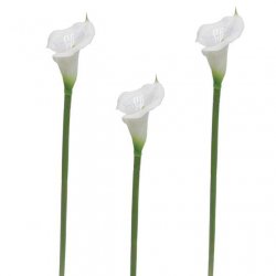 ΚΛΑΔΙ ΚΑΛΛΑΣ PVC ΛΕΥΚΟ ΜΟΝO Y70cm 24/240KIB