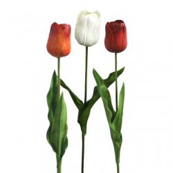 ΚΛΑΔΙ ΤΟΥΛΙΠΑ REAL TOUCH ASS (3 ΧΡΩΜΑΤΑ) Y66cm. 12