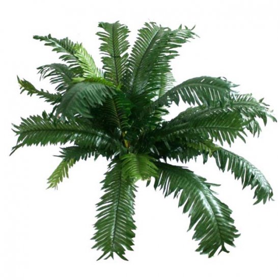 ΡΙΖΑ ΤΣΙΚΑ 50xY40cm. 12/60KIB ΡΙΖΑ ΤΣΙΚΑ 50xY40cm. 12/60KIB