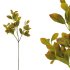 ΚΛΑΔΙ ΔΑΦΝΗ ΠΡΑΣΙΝΟ/ΚΙΤΡΙΝΟ REALΧ3 TOUCH Υ81/29cm 