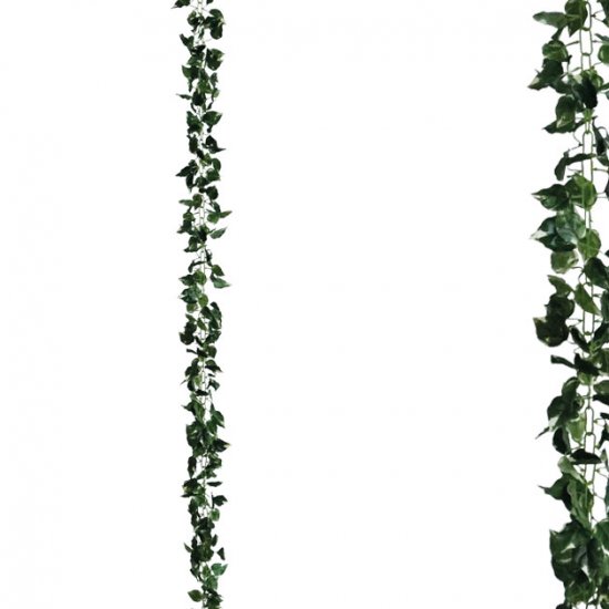 ΓΙΡΛΑΝΤΑ ΠΟΘΟΣ ΠΡΑΣΙΝΟ/ΚΙΤΡΙΝΟ ΑΛΥΣΙΔΑ Υ270cm 1/12