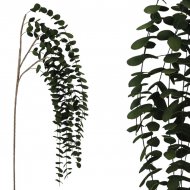 FOAM ΠΡΑΣΙΝΟ  ΕΥΚΑΛΥΠΤΟΣ ΚΡΕΜΑΣΤΟ Y130/72cm 6/60KI
