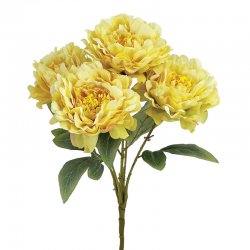 ΚΙΤΡΙΝΟ ΠΑΣΤΕΛ ΜΠΟΥΚΕΤΟ ΠΑΙΩΝΙΑ Χ5 - Υ48cm 12/48ΚΙ