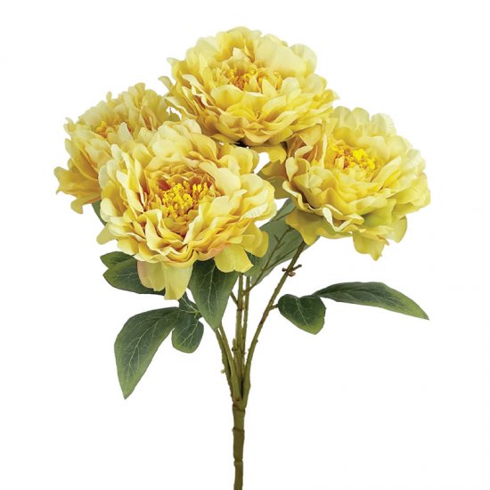 ΚΙΤΡΙΝΟ ΠΑΣΤΕΛ ΜΠΟΥΚΕΤΟ ΠΑΙΩΝΙΑ Χ5 - Υ48cm 12/48ΚΙ