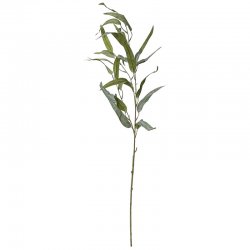 ΚΛΑΔΙ ΕΥΚΑΛΥΠΤΟΣ ΠΡΑΣΙΝΟ ΠΑΓΟΥ - Υ90cm 60/360ΚΙΒ