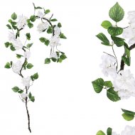 ΓΙΡΛΑΝΤΑ ΛΕΥΚΗ ΟΡΤΑΝΣΙΑ X18 ΑΝΘΗ - Υ240cm 120/ΚΙΒ
