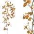 ΓΙΡΛΑΝΤΑ ΚΛΑΡΑ ΜΕ ΠΡΑΣΙΝΟ/ΚΑΦΕ ΦΥΛΛΑ - Υ240cm 120/