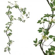 ΓΙΡΛΑΝΤΑ ΚΛΑΡΑ ΜΕ ΠΡΑΣΙΝΑ ΦΥΛΛΑ & ΛΕΥΚΑ ΑΝΘΑΚΙΑ - 