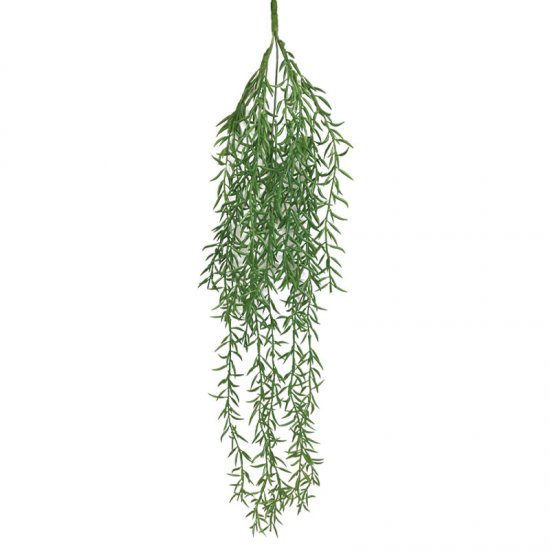 ΡΙΖΑ ΚΡΕΜΑΣΤΗ ΦΤΕΡΗ ΠΡΑΣΙΝΑΔΑ - Υ85cm 3/36ΚΙΒ