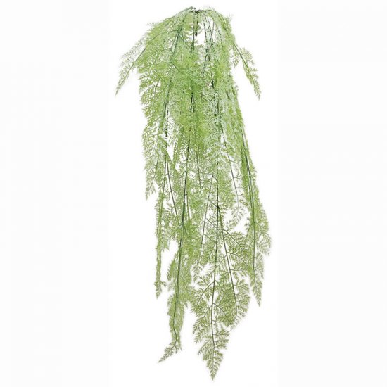 ΡΙΖΑ ΚΡΕΜΑΣΤΗ ΦΤΕΡΗ ΛΑΧΑΝΙ - Υ130cm 40/160ΚΙΒ